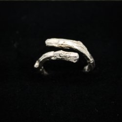 Egegren ring, str 51