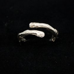 Egegren ring, str 54