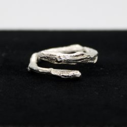 Egegren ring, str 51