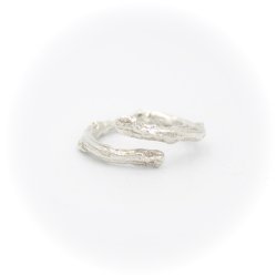 Egegren ring, str 54