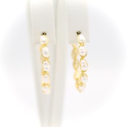 Ferskvandskreoler, 25