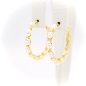 Ferskvandskreoler, 25